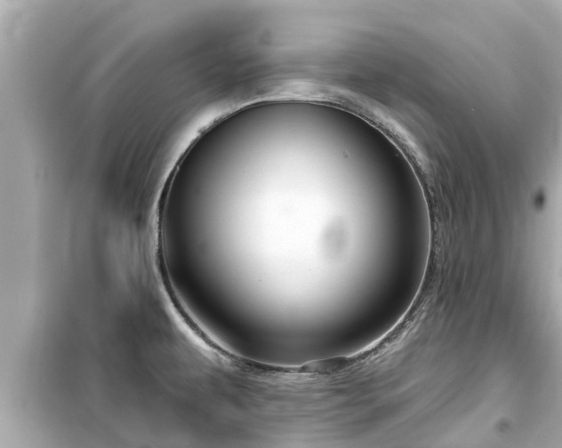 X0000099501479200805221349