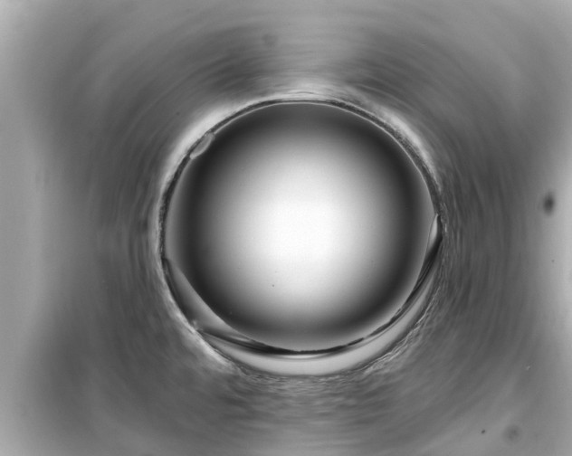 X0000099501480200805221349