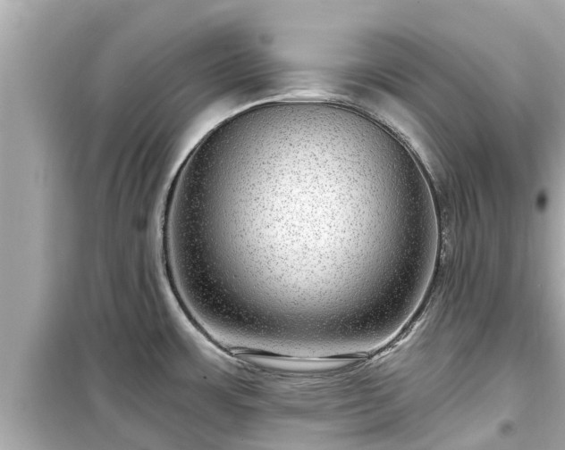 X0000099501483200805221349