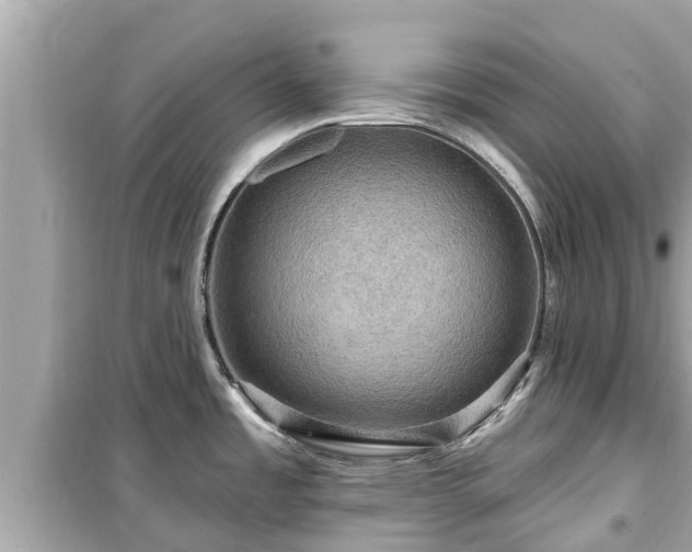 X0000099501485200805221349