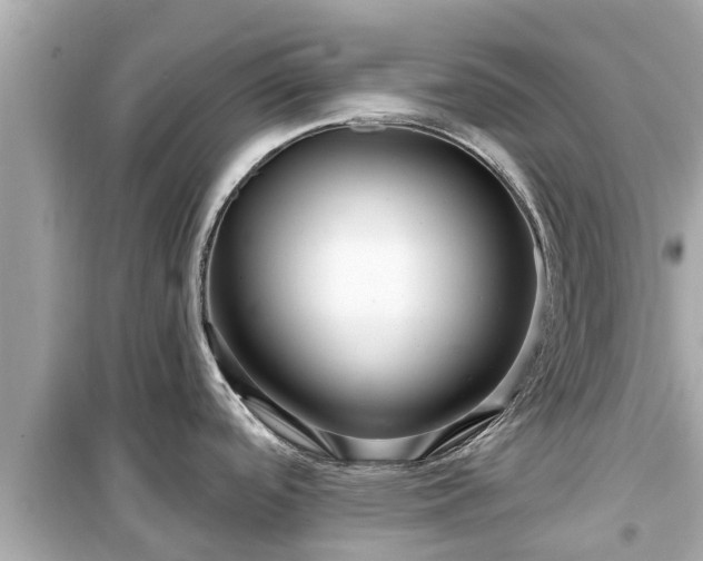 X0000099501488200805221349