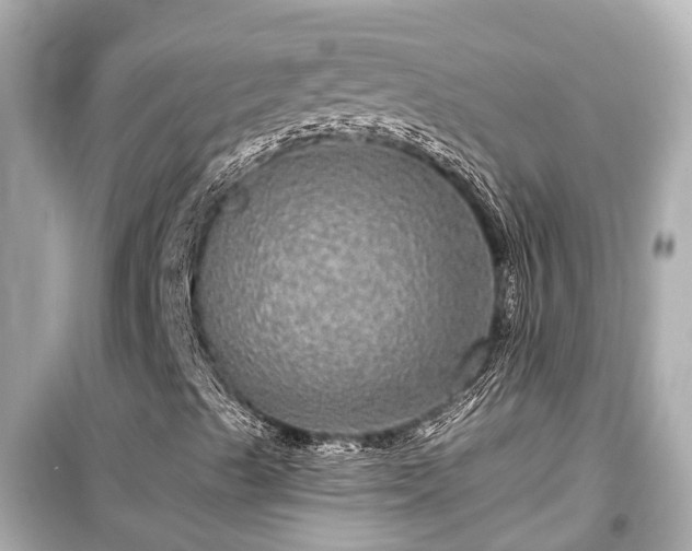 X0000099501489200805221348