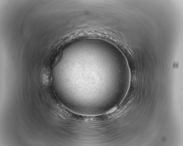 X0000099501490200805221348