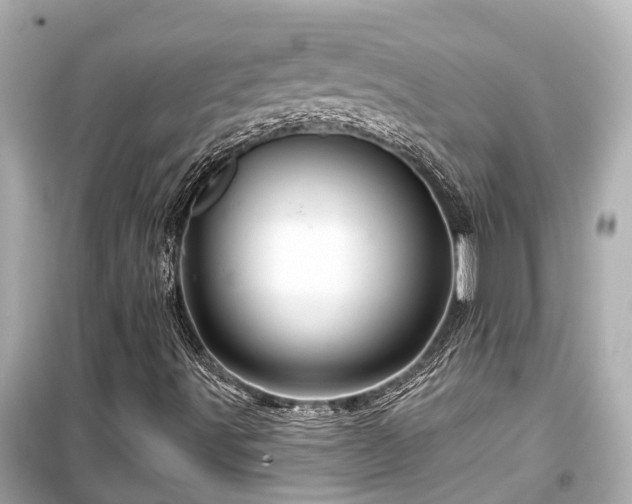 X0000099501491200805221348
