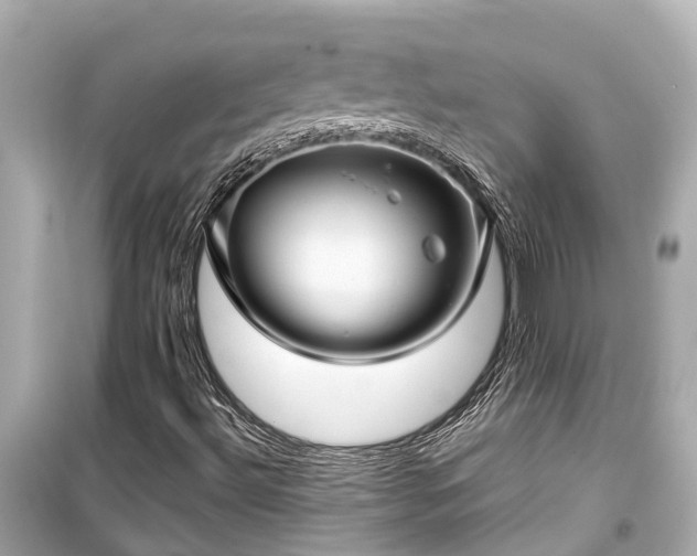 X0000099501492200805221348