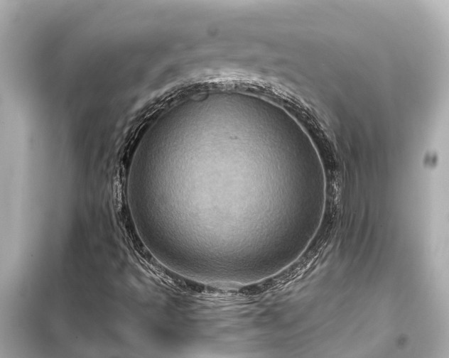 X0000099501493200805221348