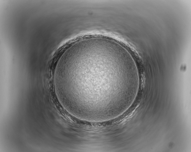 X0000099501494200805221348