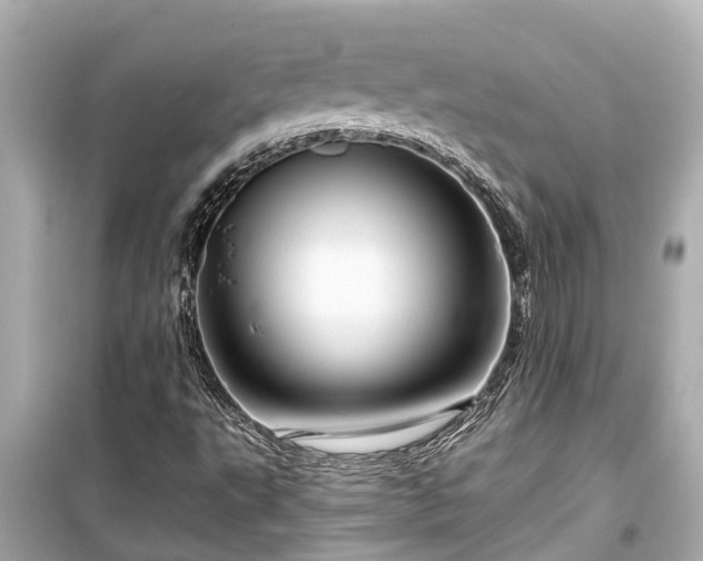 X0000099501495200805221348