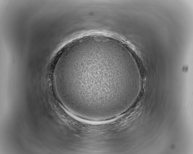 X0000099501496200805221348