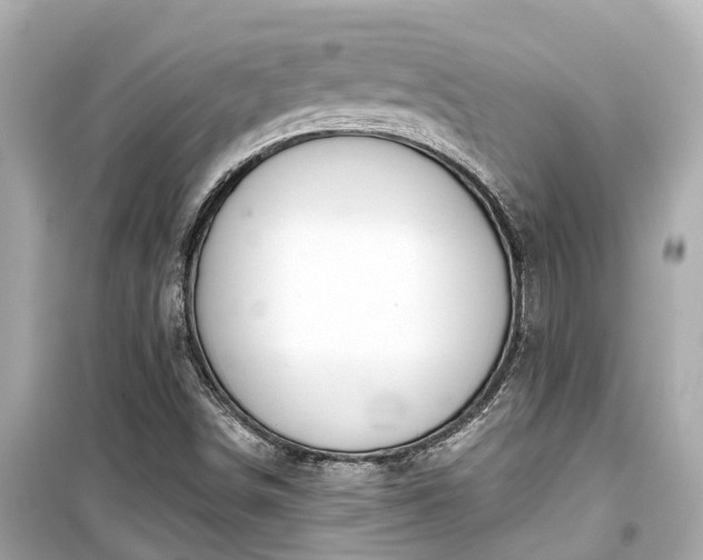 X0000099501498200805221348