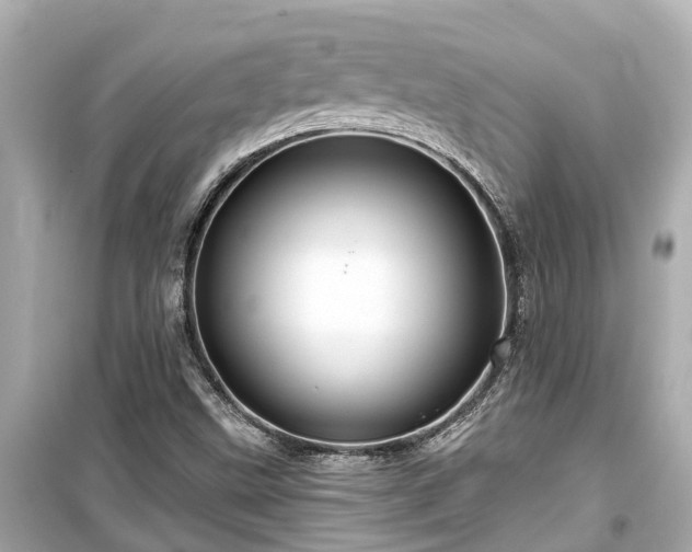X0000099501499200805221348