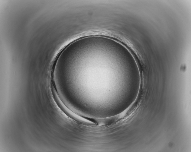 X0000099501500200805221348