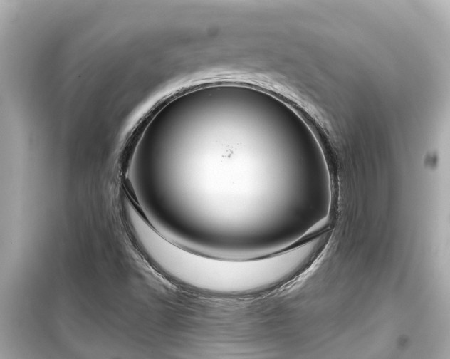 X0000099501502200805221348