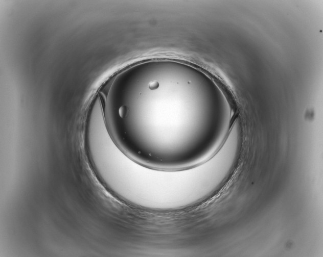 X0000099501504200805221348