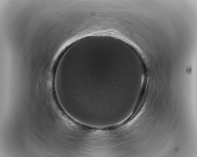X0000099501506200805221348