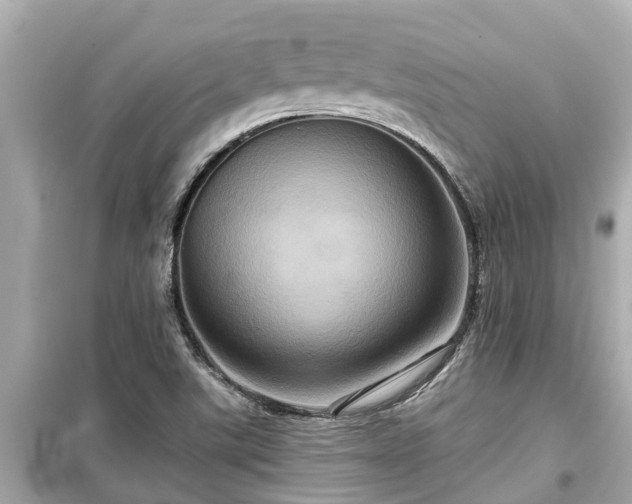 X0000099501507200805221348