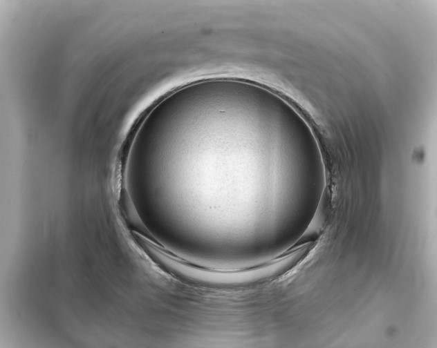 X0000099501510200805221349