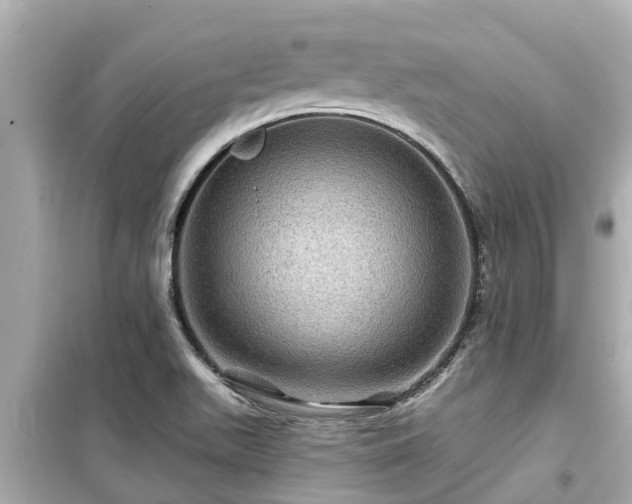 X0000099501511200805221349