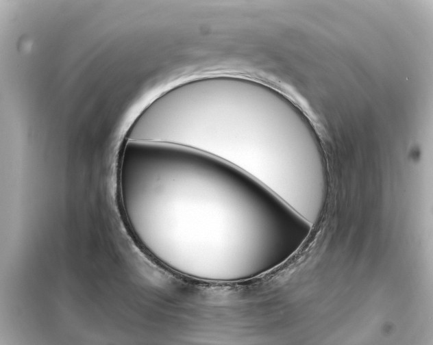 X0000099501512200805221349