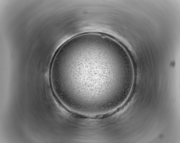 X0000099501513200805221349