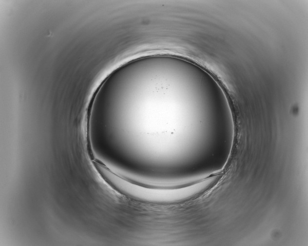 X0000099501516200805221349