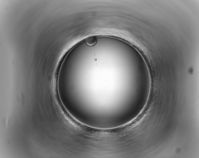 X0000099501517200805221349