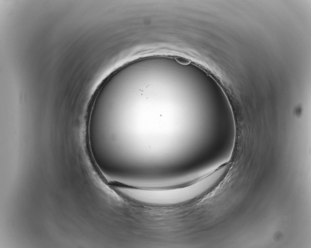 X0000099501518200805221349