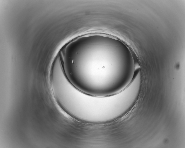 X0000099501519200805221349