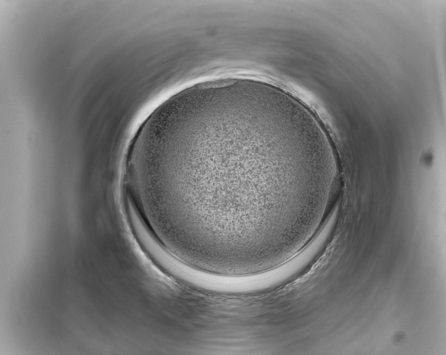 X0000099501520200805221349