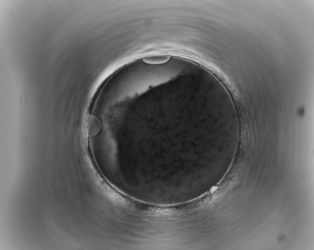 X0000099501522200805221349
