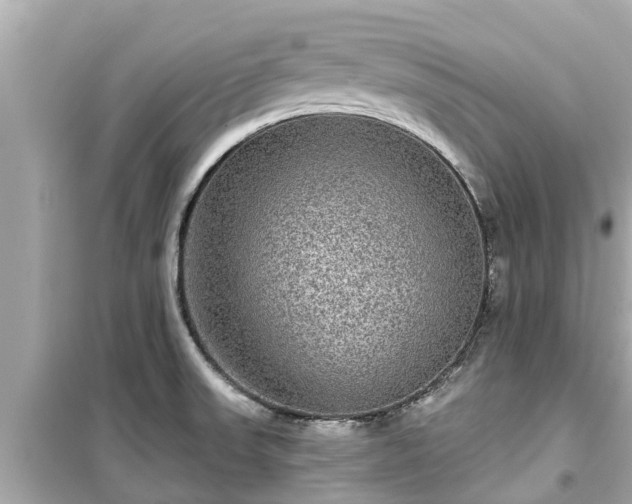 X0000099501523200805221349