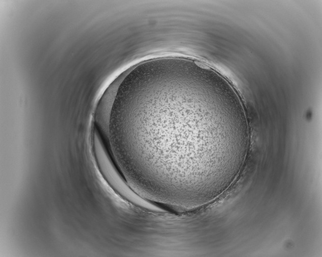 X0000099501524200805221349