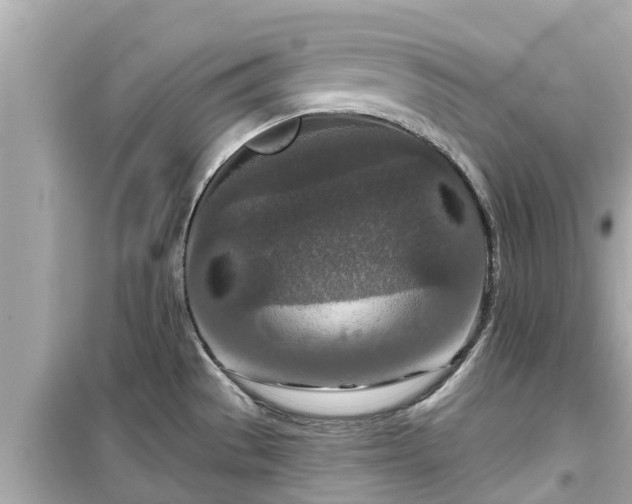 X0000099501529200805221349