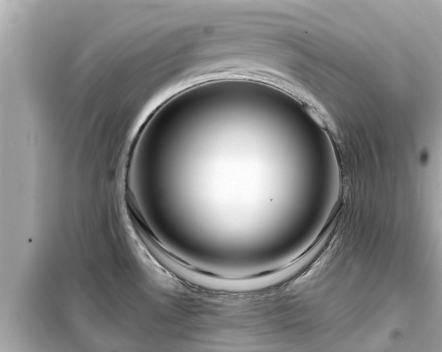 X0000099501530200805221349