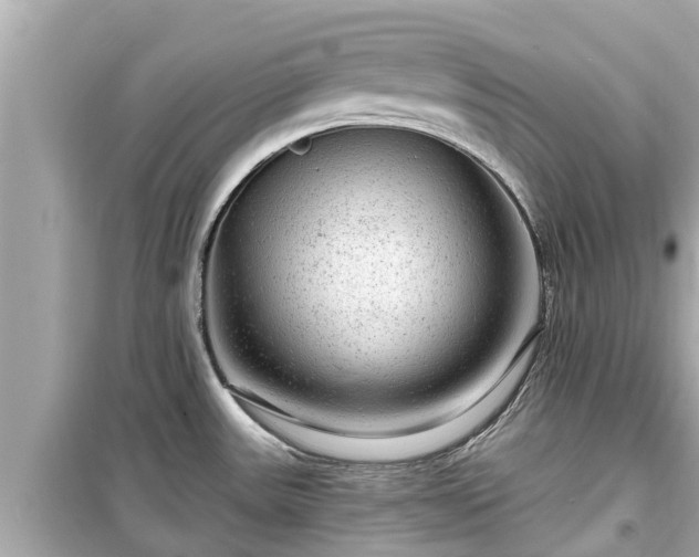 X0000099501531200805221349