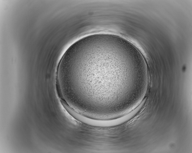 X0000099501532200805221349