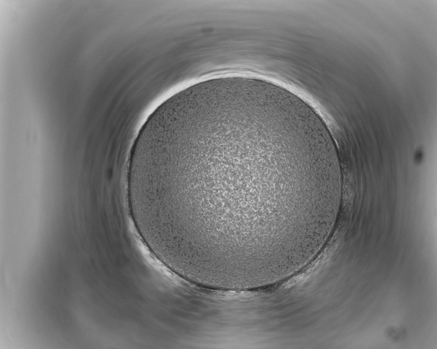 X0000099501534200805221349