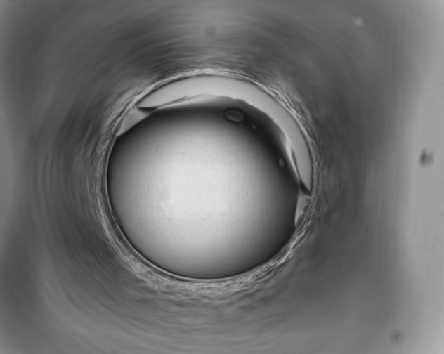 X0000099500001200805291138