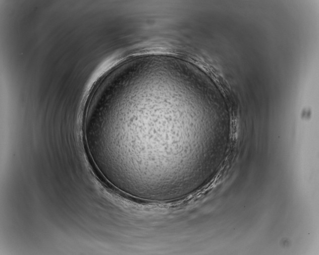 X0000099500004200805291138