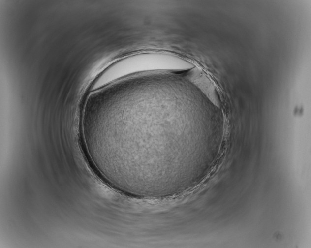 X0000099500005200805291138