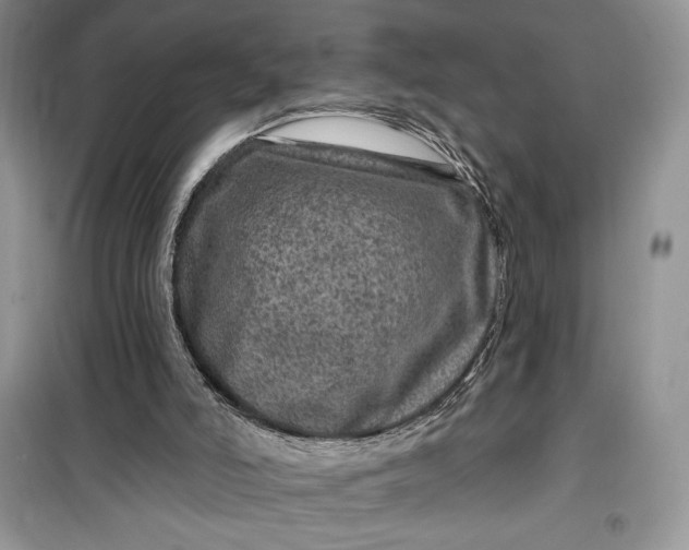 X0000099500006200805291138