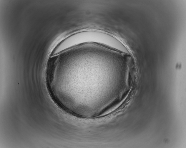 X0000099500007200805291138