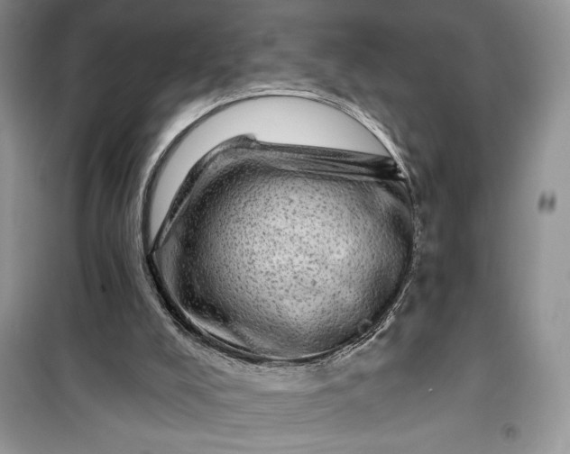 X0000099500008200805291138