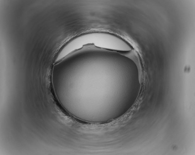 X0000099500009200805291138