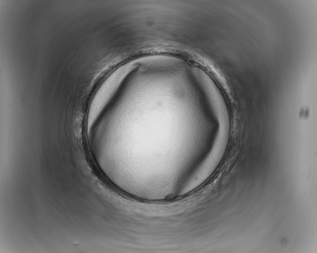 X0000099500010200805291138