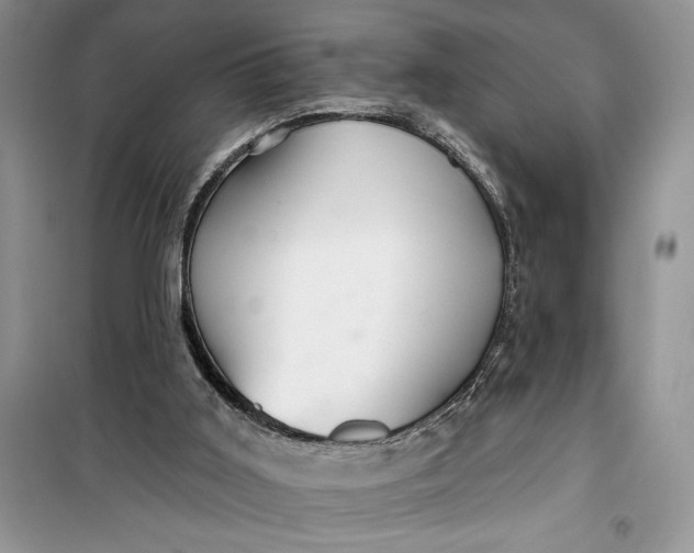 X0000099500011200805291138