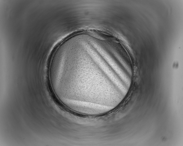 X0000099500012200805291138