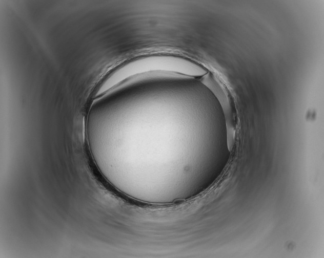 X0000099500013200805291138