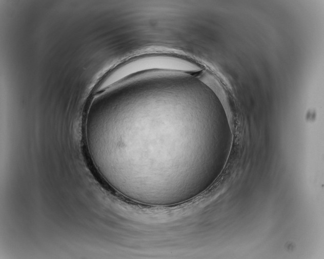 X0000099500015200805291138