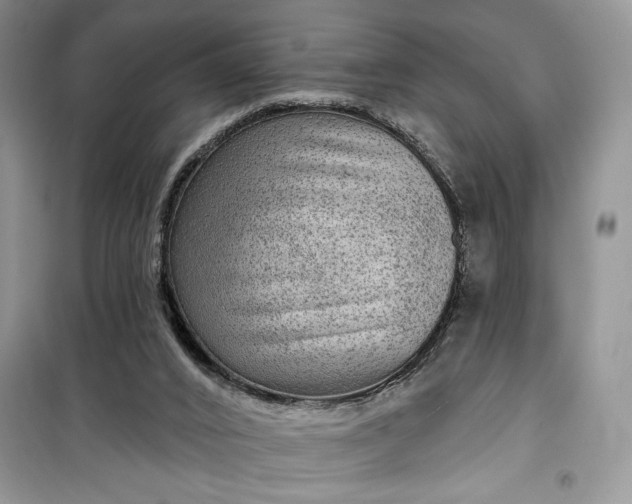 X0000099500016200805291138